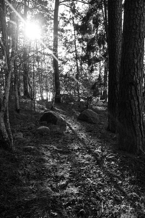 untitled-3666