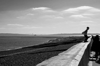 _DSC7241