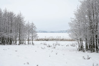 untitled-5