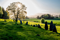 Ancient viking burial site