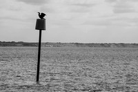 untitled-3759