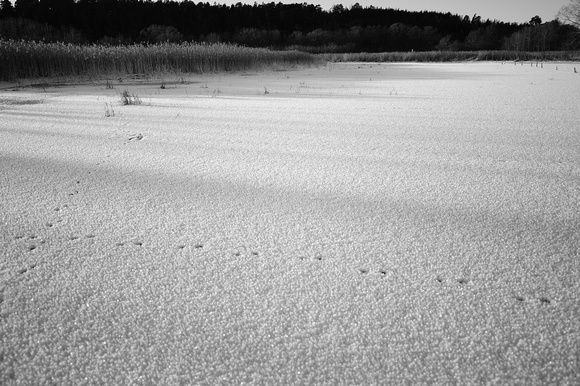 Footprints in icefield